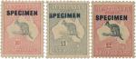 Australia - Kangaroo 10 shillings, 1 pound and 2 pounds overprinted SPECIMEN. Mounted mint. Fine. Li