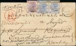 Hong Kong1880 New Colours1881 (8 Aug.) envelope registered to Bombay bearing pair of 5c. blue with 1