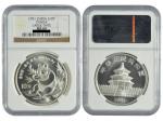1991年熊猫纪念银币，面值10元，重量1盎司，NGC MS69