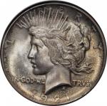 1921 Peace Silver Dollar. High Relief. MS-66 (NGC).