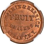 New York--Albany. Undated (1861-1865) Benjamin & Herrick. Fuld-010A-9a. Rarity-8. Copper. Plain Edge