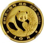 1988年熊猫纪念金币1/10盎司 NGC PF 69