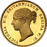 GRANDE-BRETAGNE - UNITED KINGDOMVictoria (1837-1901). 5 livres (5 pounds) “Una and the lion”, bandea