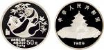 1989年中国人民银行发行熊猫精制纪念银币