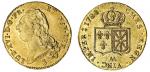 France (Royale), Louis XVI (1774-1793), Double Louis dOr, 1788-AA, Metz, by Duvivier, bare head left