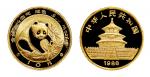 1988年熊猫纪念金币1/10盎司 NGC MS 69