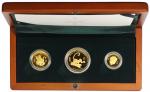 2004年库克岛猴年金币一组3枚，15, 30及60元，共重17.5克，连盒及证书，编号0308