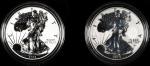 Complete 2021-W Silver Eagle Reverse Proof Set. Designer Edition. Proof (Uncertified).