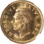 1952年1/2 Sovereign。比勒陀利亚铸币厂。SOUTH AFRICA. 1/2 Sovereign, 1952. Pretoria Mint. George VI. NGC MS-66.