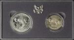 USA アメリカ合衆国 Mint Set 1991P,D オリジナルケース付き with original case UNC