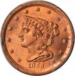 1855 Braided Hair Half Cent. C-1, the only known dies. Rarity-1. MS-65+ RD (PCGS). Gold Shield Holde
