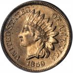 1859/1859 Indian Cent. Snow-1, FS-301. Repunched Date. MS-64+ (PCGS). Eagle Eye Photo Seal. CAC.