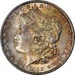 1902-O Morgan Silver Dollar. MS-67 (PCGS).