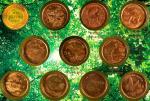 1993-99年中国珍稀野生动物纪念币。十枚。(t) CHINA. Wildlife Treasure of China Mint Set (10 Pieces), 1993-99. Average 